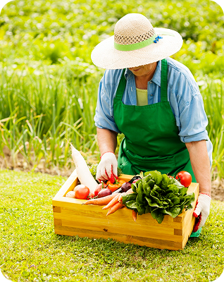 Community of farmers collaborating